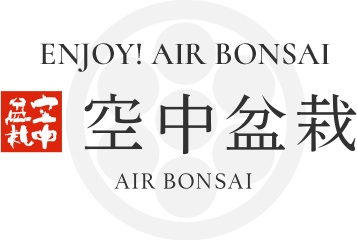 空中盆栽