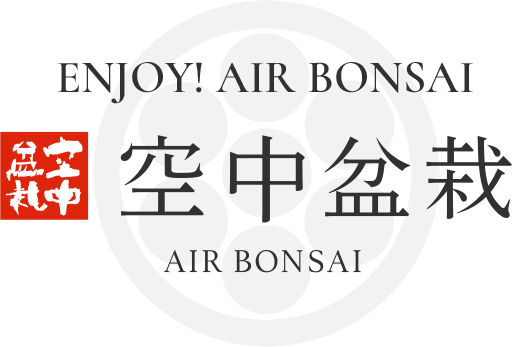空中盆栽