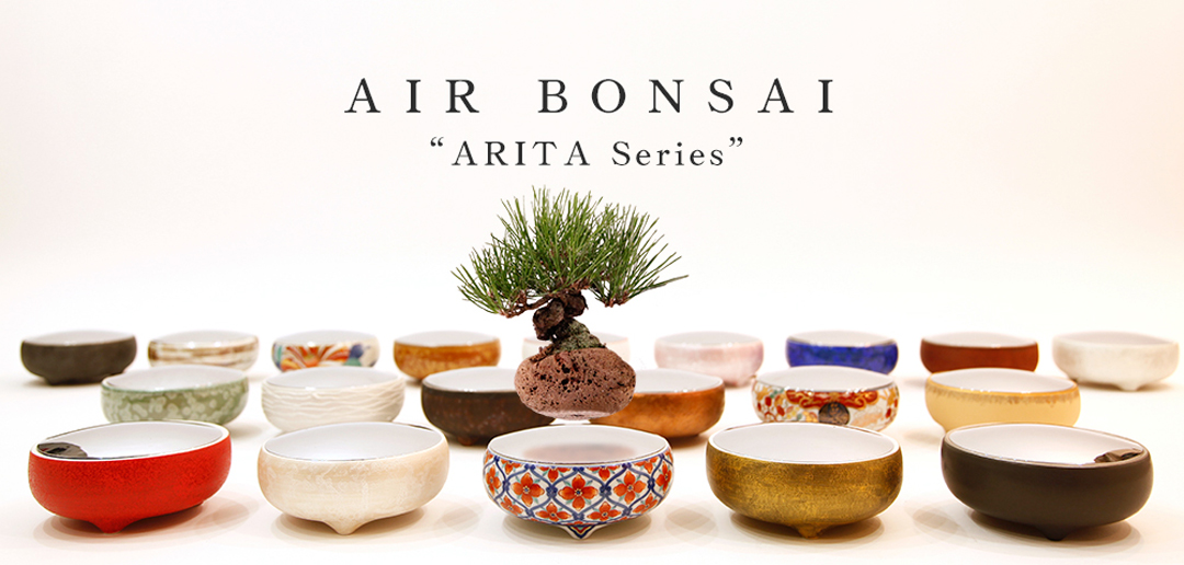 AIR BONSAI LIMITED
