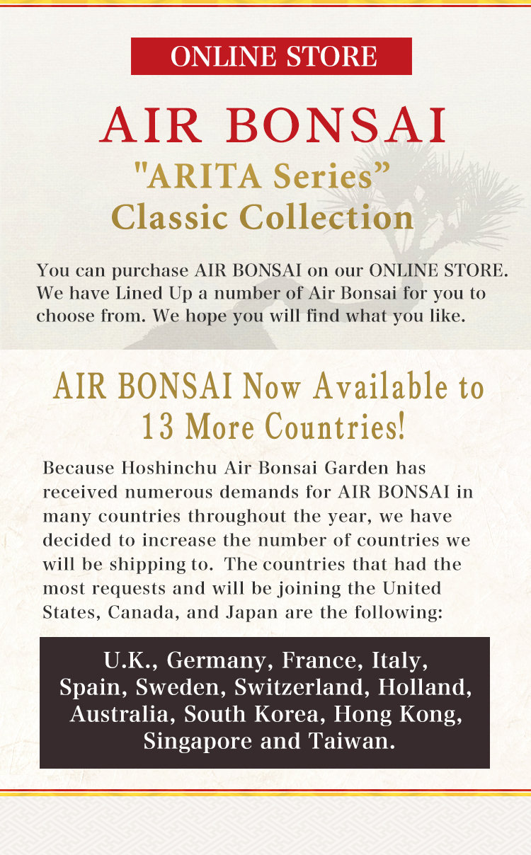 AIR BONSAI LIMITED