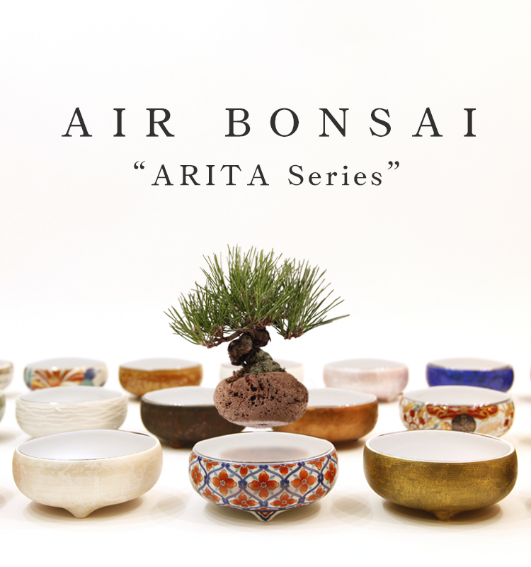 AIR BONSAI LIMITED